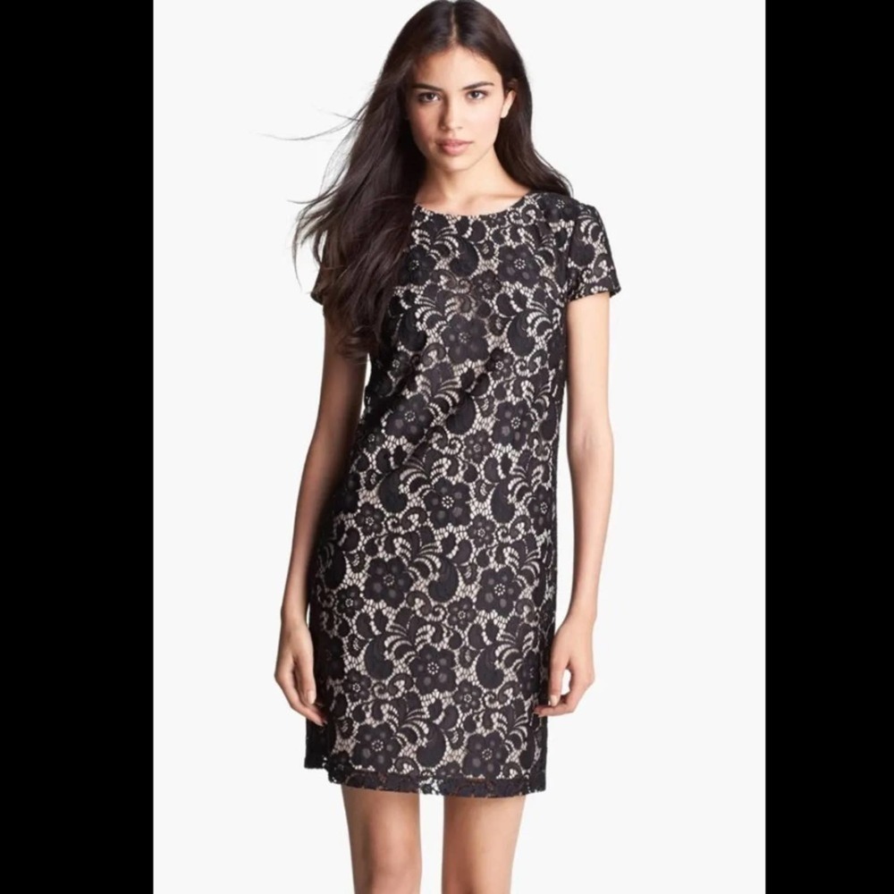 NWT - Ivy & Blu Women's Lace Dress W/ Cap Sleeve Dress 6